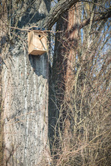 birdhouse on tree