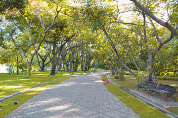 Obraz premium road in park