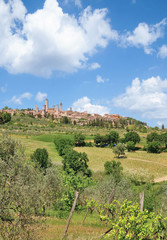 Fototapeta na wymiar der bekannte mittelalterliche Ort San Gimignano in der Toskana,Provinz Siena,Italien