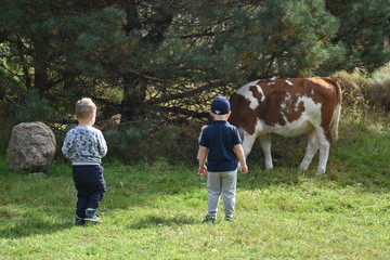 dzieci na farmie