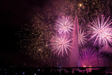  Fireworks in Geneve. Nice sky. Celebration