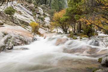 Water torrent of the Manzanares river in the Pedriza area of Madrid