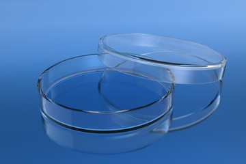 Transparent glass petri dishes on blue background with ground reflections. 3D rendering