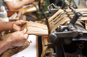 Honduras Cigar Factory