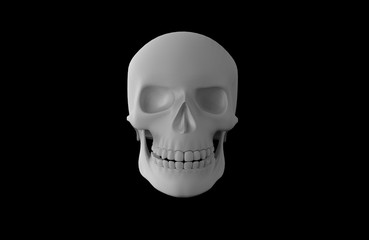Gray matte human skull on black background. 3D rendering