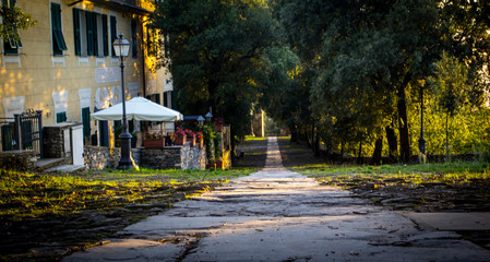Obraz premium walkpath in fall