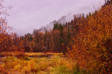 Rock Creek, Mondtana