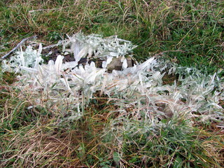 Ice on the grass.