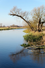 Havel river landscape at Havelland region in Germany.