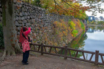 OSAKA PERFECTURE, JAPAN-NOVEMBER 9, 2018: Unidentified Muslim woman in hijab takes photograph of autumn season colours at Osaka Castle Park in Osaka, Japan.