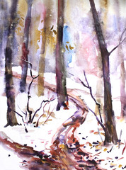 Watercolor landscape. In the forest, the first snow fell