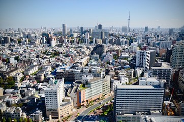 Fototapeta premium Landscape view of Tokyo city skyline with Tokyo sky tree, the tallest tower in Tokyo, Japan in clear winter sky day