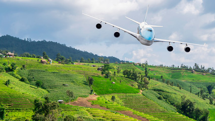 Airplane over Paddy field Airplane fly over the beautiful landscape of green paddy field / rice field fram in the afternoon at countryside in Chiangmai, Thailand2