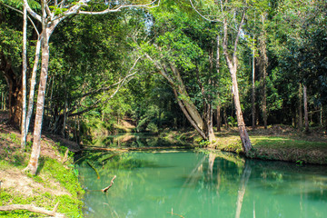 The water in the stream is green and bright green tree at Kapo Waterfall Fores Park , Chumphon in Thailand.