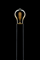 Light Bulb on Black Background