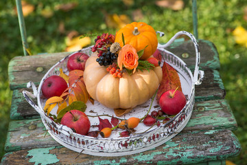 Little pumpkins with flower on a tablett