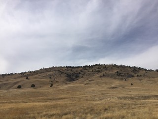 landscape in desert