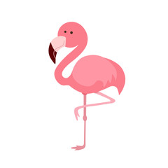 pink flamingo illustration