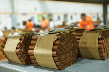 Honduras Cigar Factory