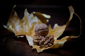 walnut