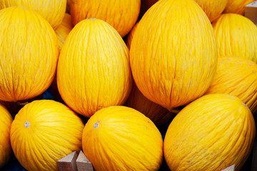 Ripe melons in the fruit market, Catania, Sicily, Italy