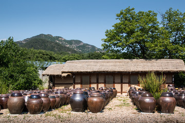 pots in the garden