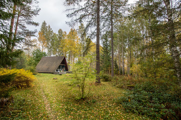 cottage in a forest