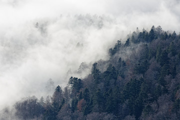 Brouillard dans la vallée