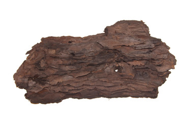 bark isolated on white background