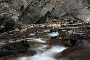 stream in the forest