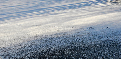 the tracks in the snow
