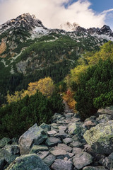 Mountain path in High Tatras, Slovakia
