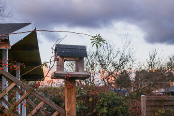 Vogelhaus Futterhaus in einer Kleingartenanlage in Hamburg