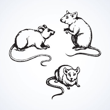 Mouse. Vector drawing