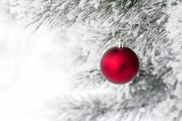 Christmas decorations on the pine branch