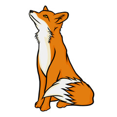 Obraz premium Isolated cute fox illustration