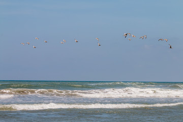 Playa