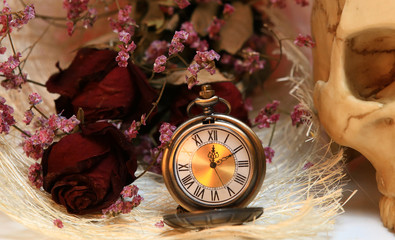 close up ancient clock with dried Valentine rose and human skull represent time and Halloween
