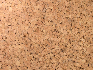 Cork board texture