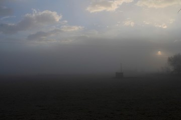 landscape in the fog