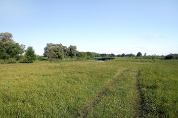 Fototapeta na wymiar View of the meadow, field road, river, trees and sky