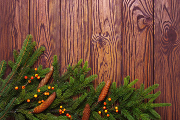Christmas  background with fir tree.