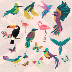 Tropical set with tropical birds and butterfly for wallpapers, web page backgrounds, surface textures, textile, wedding invitation, business products