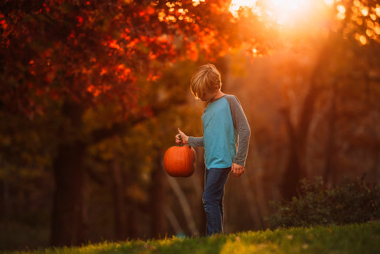 Boy holding pumpkin in garden during sunset