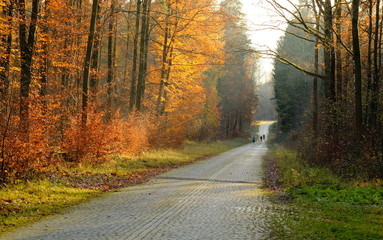 Obraz premium alte Panzerstrasse zwischen Böblingen und Stuttgart Vaihingen