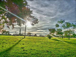 Green field on the park