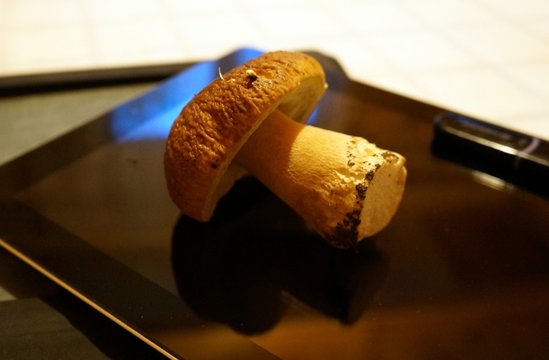 White mushroom and the tablet