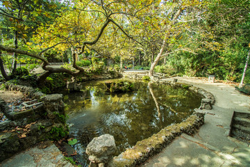 Fototapete bei efototapeten.de bestellen   