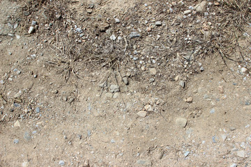 Dirt road surface detail dry soil earth abstract close up