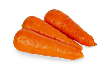 Fresh, big carrot, isolated on white background